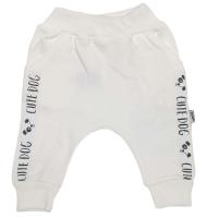 6772 Штаны (лампас)