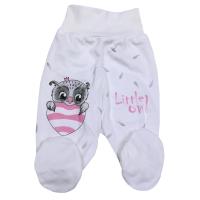 КЛ.230,001,0,279,005 Ползунки