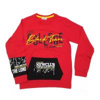 2610 Джемпер д/мальчика