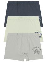 3548 Боксеры для мальчиков многоцвет (BAYKAR)