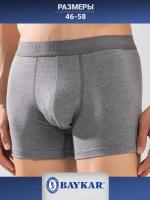 1110-22 Боксеры мужские (BAYKAR)