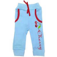 17482 Штаны (вишня)