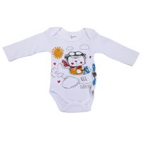 17478 Боди (самолетик)