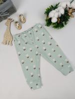 172/452 Брючки (интерлок)