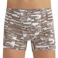 1186-68 Боксеры мужские (BAYKAR)