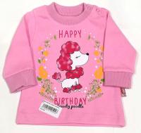 18094 Джемпер (пудель)