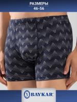 1227-104 Боксеры мужские (BAYKAR)