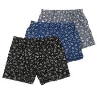 3958 Боксеры для мальчиков многоцвет (BAYKAR)