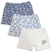 3576 Боксеры для мальчиков многоцвет (BAYKAR)