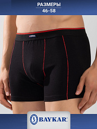 1130-02 Боксеры мужские (BAYKAR)