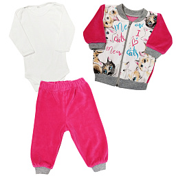 15304 Костюм 3-ка велюр