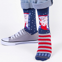 С1308 Носки мужские