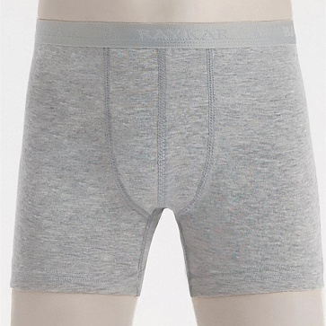 3310-20 Боксеры для мальчика серые (BAYKAR)