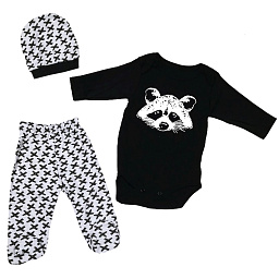 17187 Комплект 3 пред.(енот)