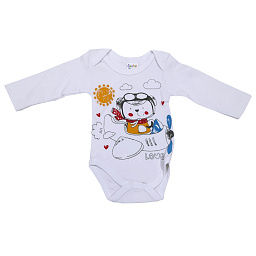 17478 Боди (самолетик)