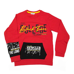 2610 Джемпер д/мальчика