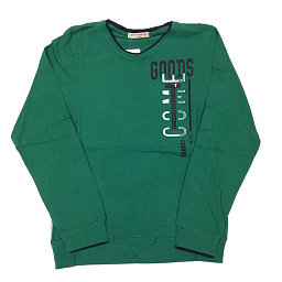 953 Джемпер мал.