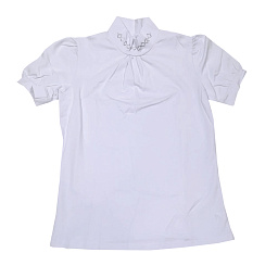 В-1509 Джемпер