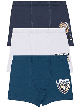 3444 Боксеры для мальчика многоцвет (BAYKAR)