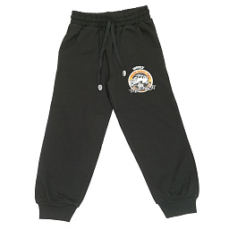 69461 Штаны для мальчика утепленные