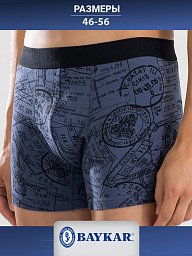 1412-184 Боксеры мужские (BAYKAR)
