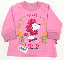 18094 Джемпер (пудель)