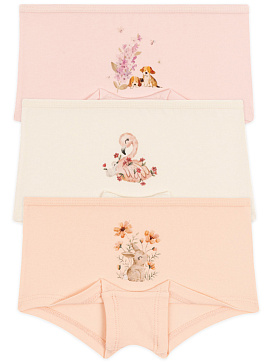 5710 Трусы шорты девочка многоцвет (BAYKAR)