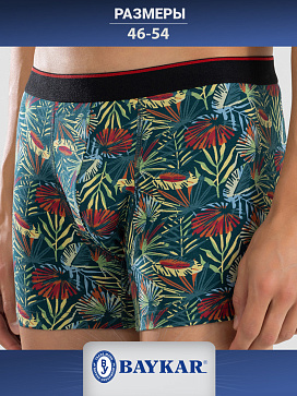 1414-382 Боксеры мужские (BAYKAR)