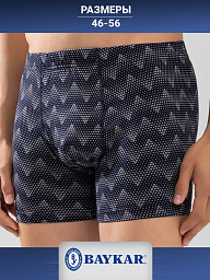 1227-104 Боксеры мужские (BAYKAR)