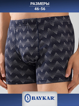 1227-104 Боксеры мужские (BAYKAR)