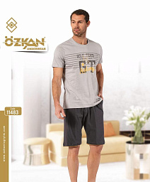 11483 мужской комплект/серый